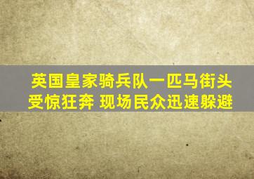 英国皇家骑兵队一匹马街头受惊狂奔 现场民众迅速躲避